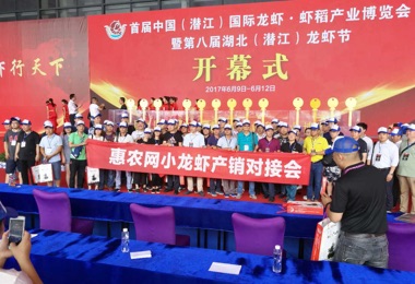 2017監(jiān)利、潛江小龍蝦網(wǎng)上采購節(jié)