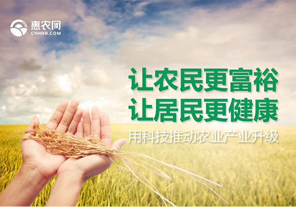 36氪專訪 | 一手流通一手產(chǎn)地，“惠農(nóng)網(wǎng)”要做農(nóng)產(chǎn)品“大中間商”