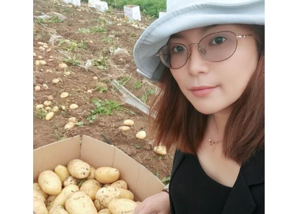 一個月銷售500噸，惠農(nóng)代賣幫助新手夫婦將土豆賣向全國