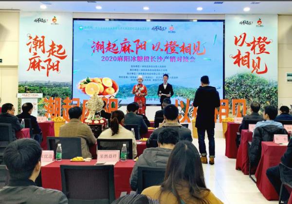 電商抱團(tuán)助銷?2020年麻陽(yáng)冰糖橙長(zhǎng)沙產(chǎn)銷對(duì)接會(huì)在惠農(nóng)網(wǎng)總部舉行