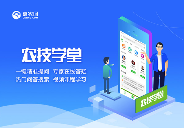 從B2B交易到農(nóng)技知識服務(wù) 惠農(nóng)網(wǎng)始終與一線農(nóng)民站在一起
