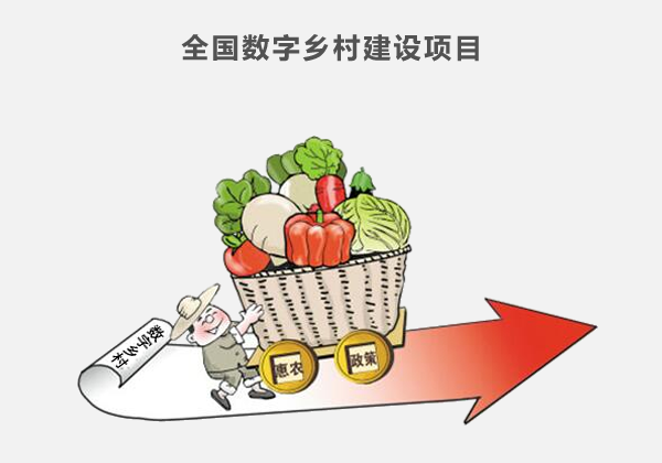 全國數(shù)字鄉(xiāng)村建設項目
