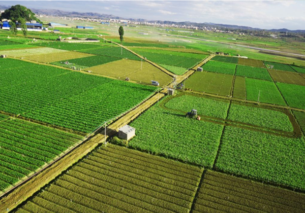 農(nóng)業(yè)農(nóng)村部辦公廳關(guān)于開展2022年全國休閑農(nóng)業(yè)重點(diǎn)縣申報(bào)和監(jiān)測(cè)工作的通知