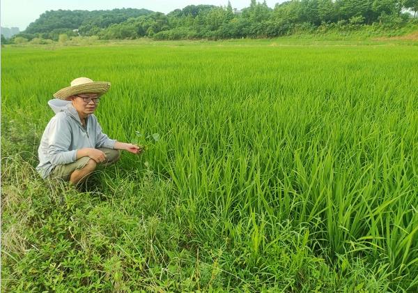 年入200余萬(wàn)元！看80后IT高管如何靠惠農(nóng)網(wǎng)跨界生財(cái)