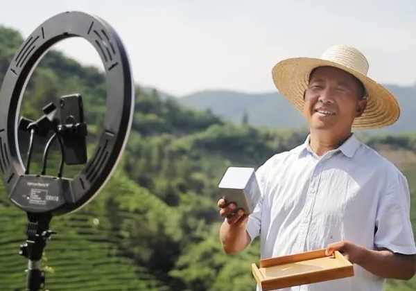 非遺傳承人孫壯志：年產(chǎn)超萬斤，讓桐城小花香譽(yù)全國