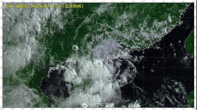 良種良法\臺(tái)風(fēng)來了，你的牛大力種植場(chǎng)準(zhǔn)備好了嗎？